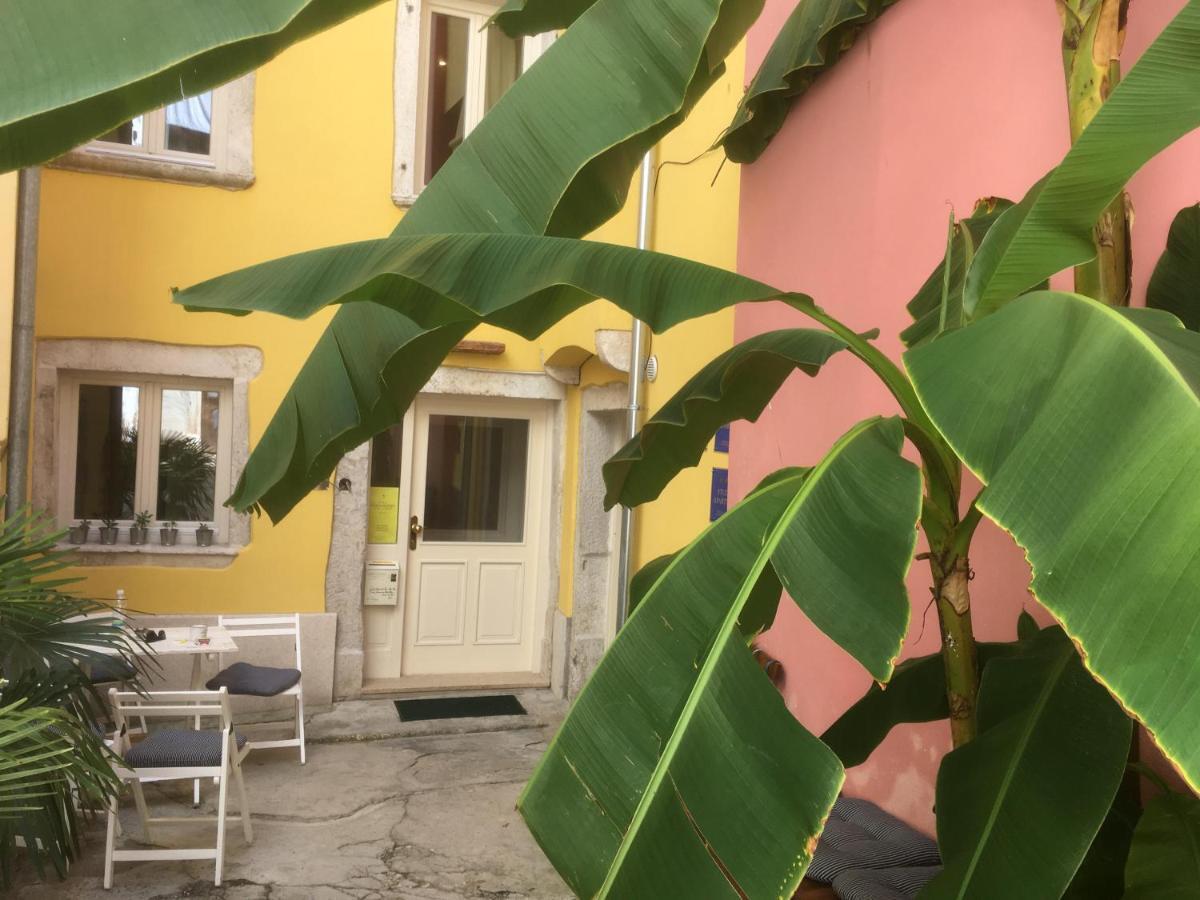 Casa Colloredo Free Parking Rovinj Zewnętrze zdjęcie
